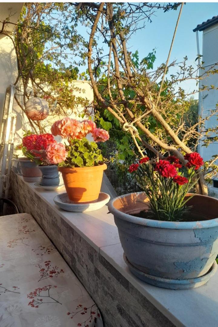 Cozy Maisonette In Pefkochori Chalkidiki Exterior photo